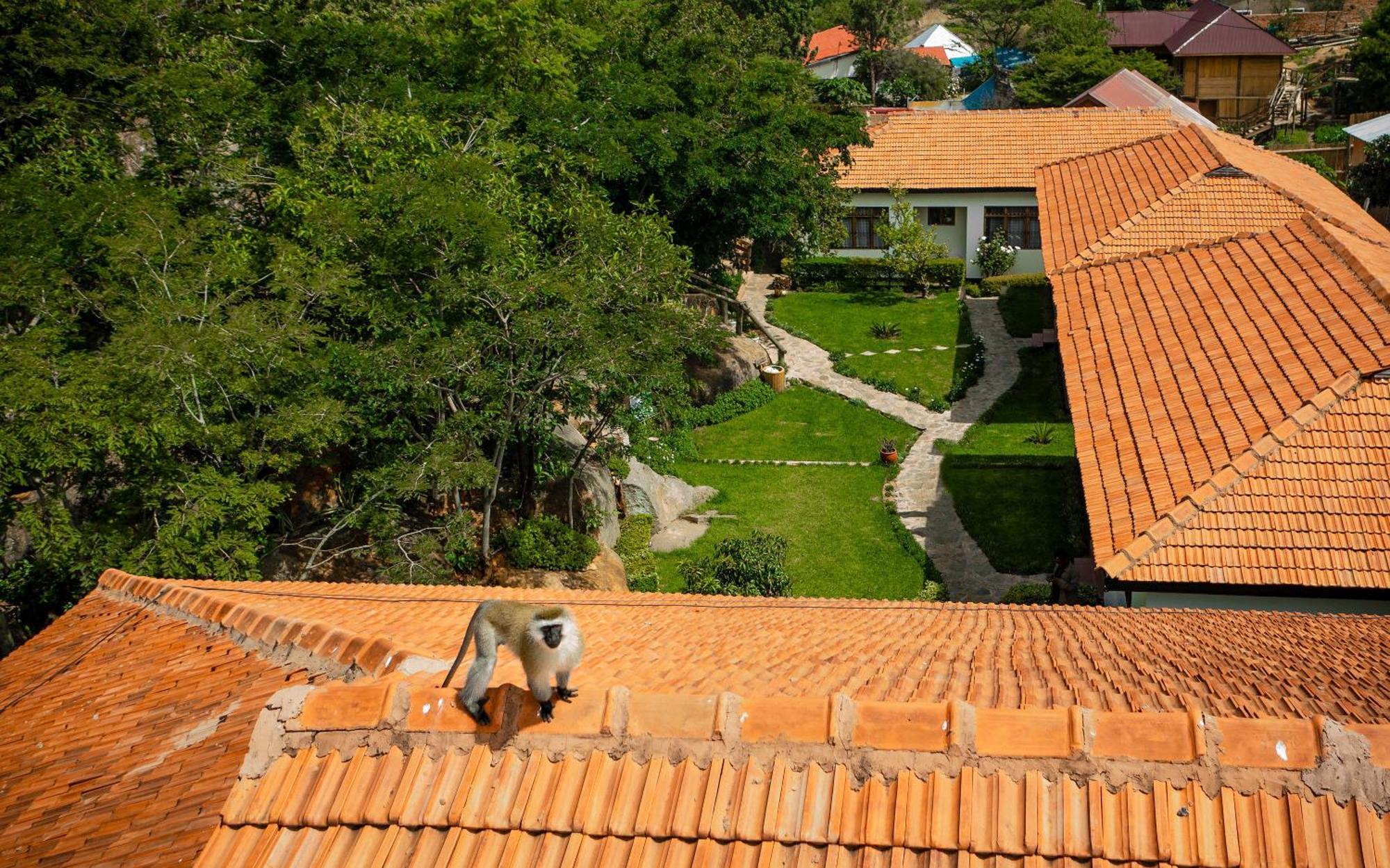 Iringa Sunset Hotel Εξωτερικό φωτογραφία
